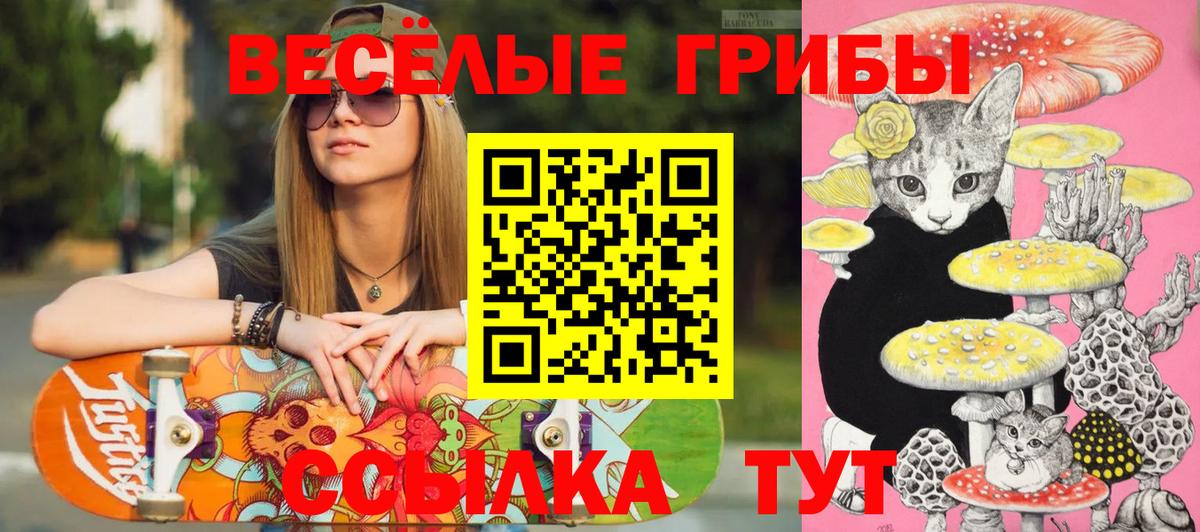 Асино  Галлюциногенные грибы MAGIC MUSHROOMS  Вход с VPN  даркнет сайт  Псилоцибиновые грибы ЛСД 