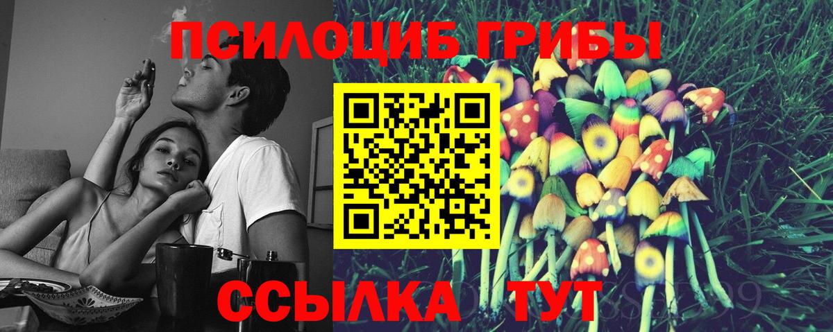 Псилоцибиновые грибы прущие грибы Асино