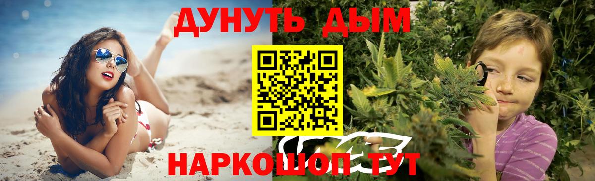 Каннабис сатива Асино